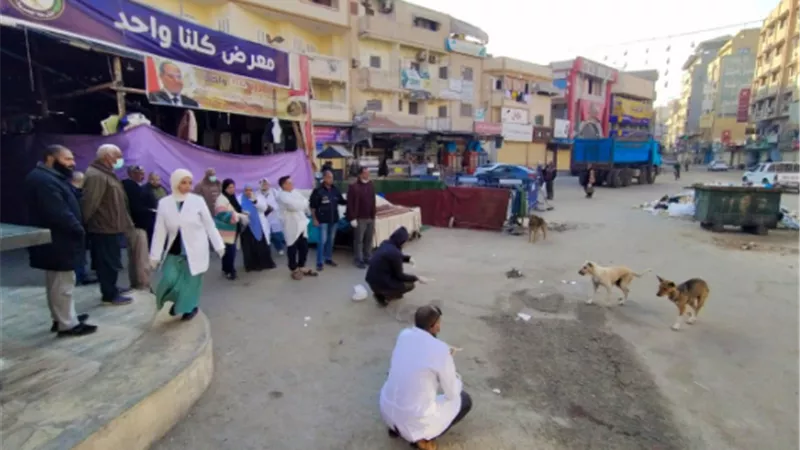 الزراعة تنفذ برنامجًا تدريبيًا ومشاركة مجتمعية للتحصين على الكلاب