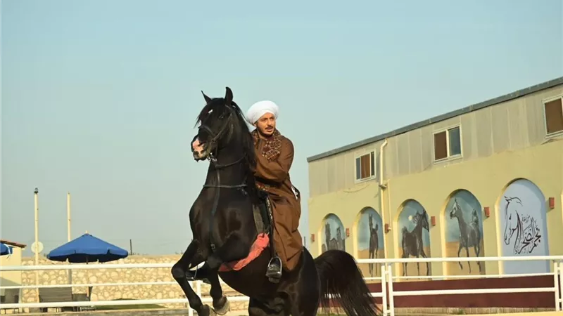 مصطفى شعبان يتصدر التريند بعد طرح برومو «حكيم باشا»