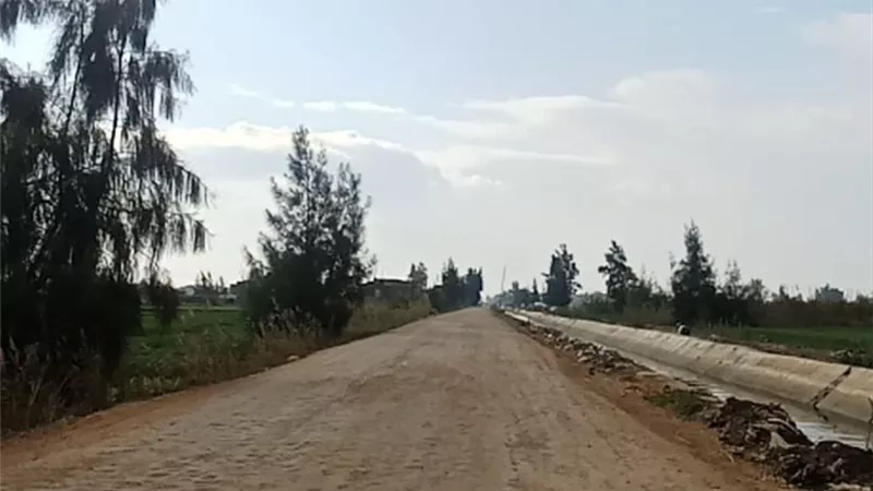 بدء رصف طريق 