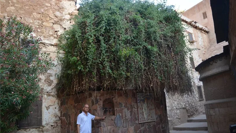 خبير آثار يطالب بتسجيل مسار نبى الله موسى تراثا عالميا باليونسكو