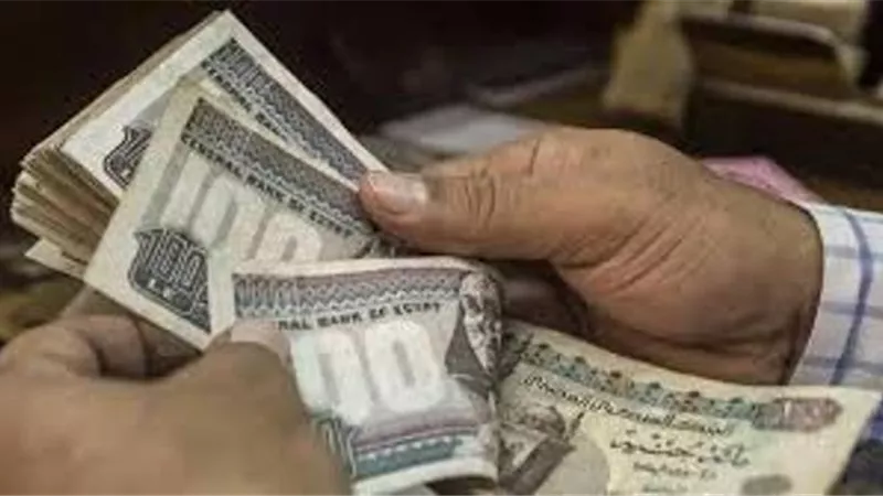 علاوة 250 جنيها ورفع الحد الأدنى الف جنيه.. قرارات المجلس القومي للأجور