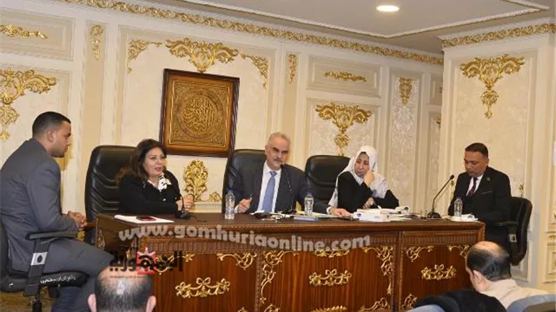 رئيس جامعة السادات تشارك باجتماع لجنة التعليم بمجلس النواب