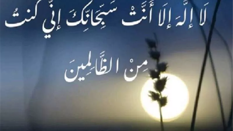 مفهوم الظلم فى دعاء سيدنا يونس