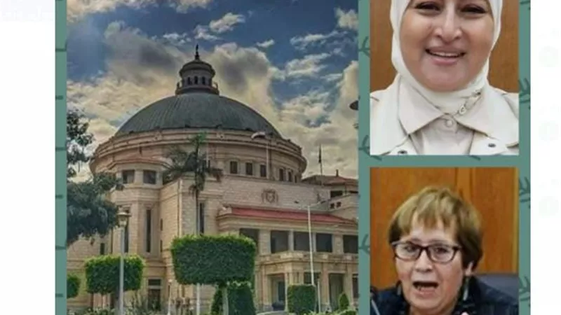جامعة القاهرة تعلن فوز كلية الإعلام بمشروع تنمية المهارات المهنية