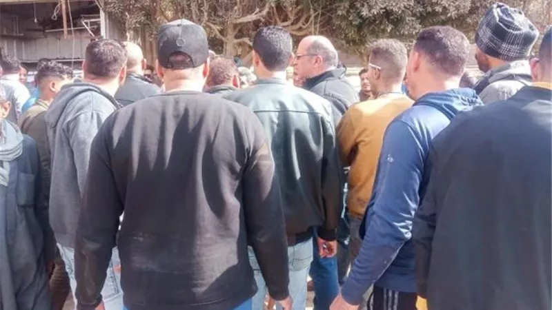 جهاز بدر يضرب بيد من حديد على المخالفات بالتعاون مع شرطة المرافق.. صور