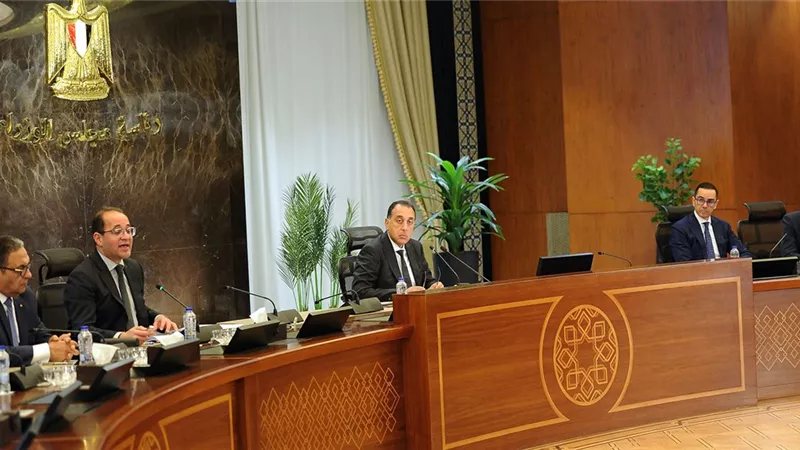المالية والاستثمار: 