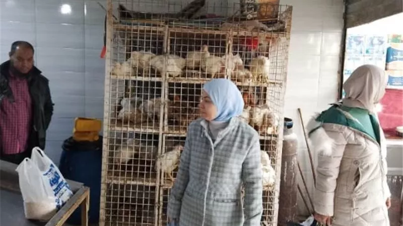 طب بيطرى مدينة الشروق يشن حملة مكبرة على الأسواق داخل الأحياء.. صور