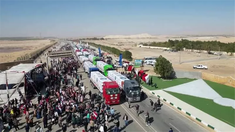 الوادى الجديد تُطلق قافلة نخيل الى غزة