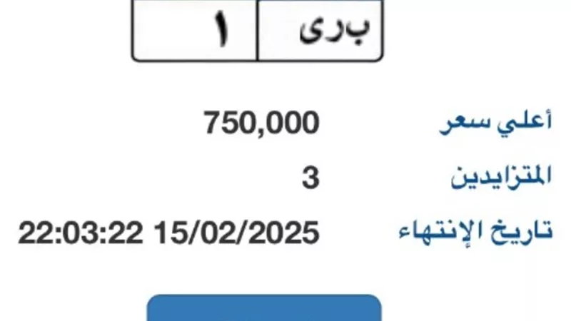بوابة مرور مصر الإلكترونية تطرح لوحة مميزة بـ 750 ألف جنيه