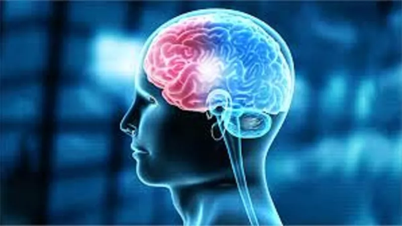 معلومة ستبهرك فى قوله تعالى 
