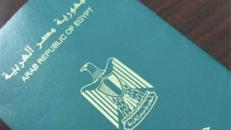 تعرف على.. طريقة حصول الأجانب أبناء الأم المصرية على الجنسية
