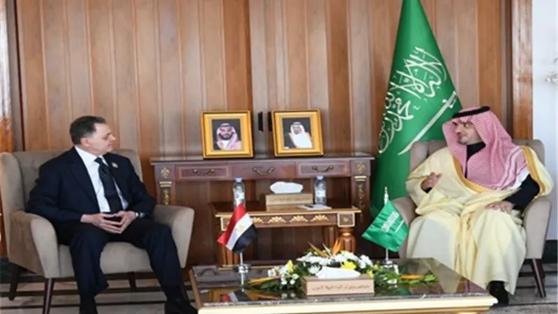 وزير الداخلية يعقد لقاءات ثنائية مع عدد من نظرائه العرب