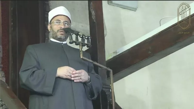 د. محمود الهواري : لا نقبل تقسيم 