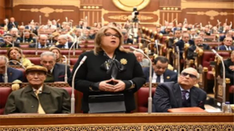نائبة: توطين الصناعة الحديثة قاطرة الاقتصاد الوطني بالجمهورية الجديدة