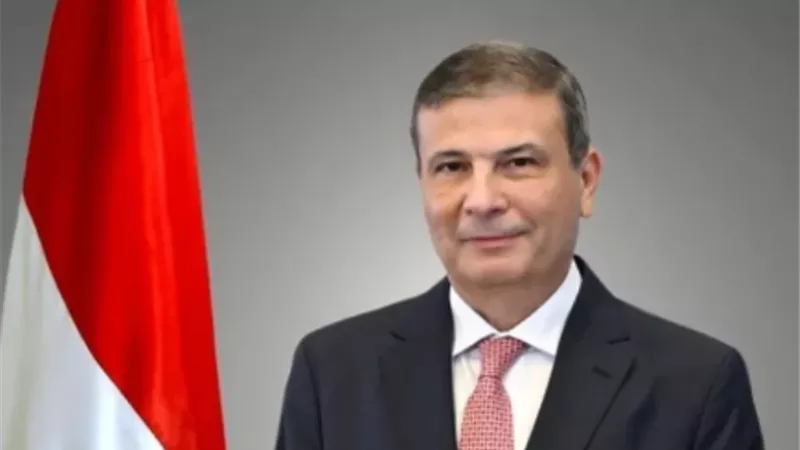فاروق: الدولة لا تدخر جهداً لتوفير السلع الغذائية بأسعار تنافسية