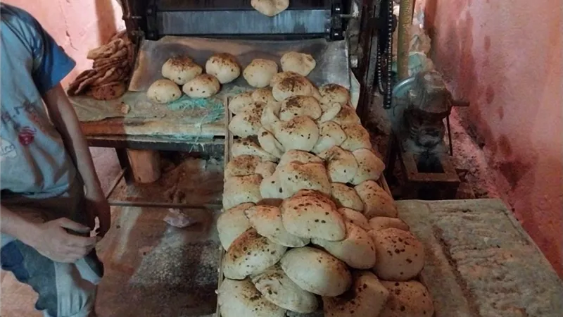 ضبط 2 طن علف دواجن مجهول المصدر بالأقصر