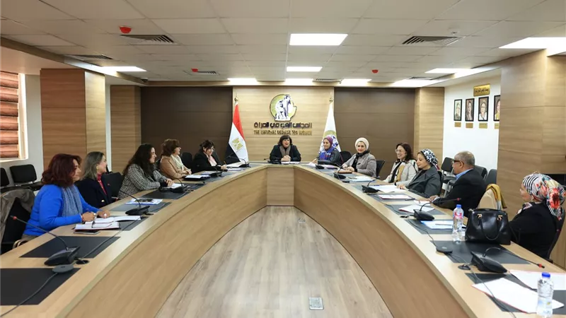 قومى المرأة يلتقى وفد مؤسسة ويل سبرنج لتعزيز التعاون