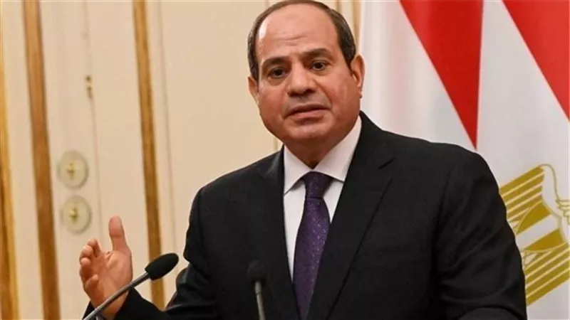 الرئيس السيسي يلتقي رئيس شركة أسبانية تعمل في بناء السفن وصيانتها