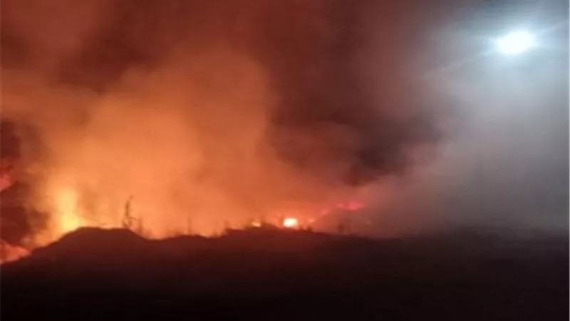 انتداب البحث الجنائي للتحري عن واقعة حريق بمحاصيل زراعية بكفر شكر
