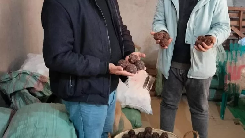 ضبط400كرتونه زبيب و100كرتونة تمرو20شيكاره تمرهندى و100 باكومعسل