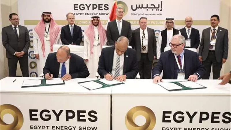 تفاصيل تنفيذ مجمع إنتاج البتروكيماويات بالعلمين الجديدة