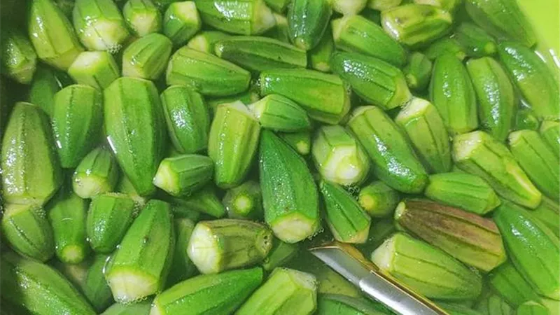 خطوات تخزين البامية بشكل صحيح