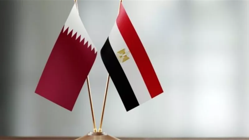 إنشاء فرع جامعة القاهرة في الدوحة