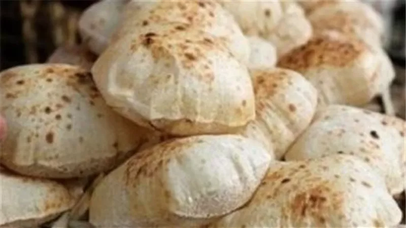 شعبة 