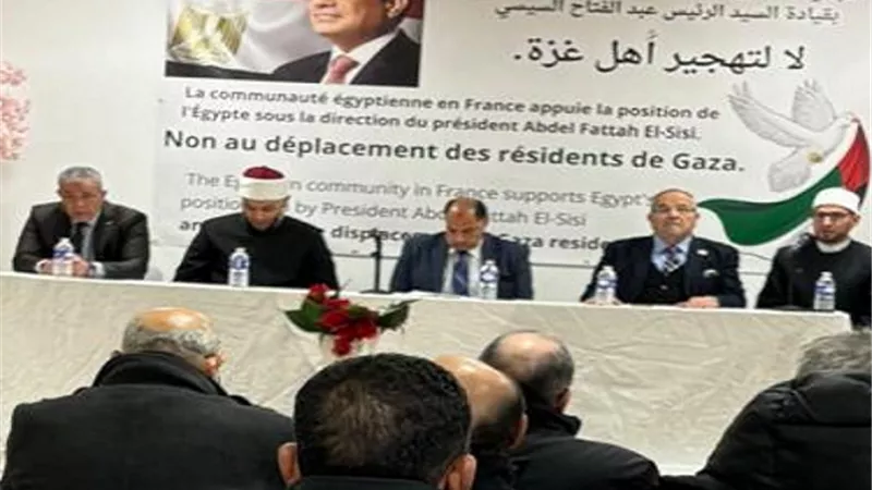 جولة مكوكية للإتحاد العام للمصريين في الخارج