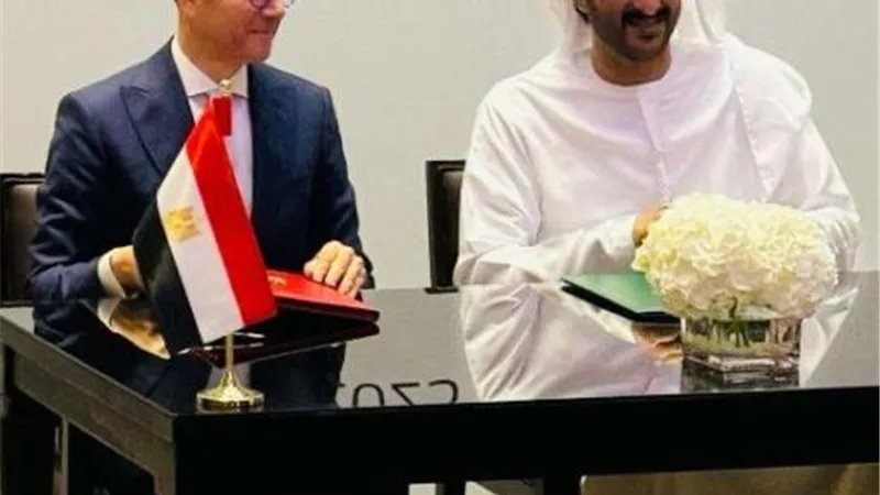 وزير الاستثمار ووزير الاقتصاد الإماراتي يترأسان الاجتماع الوزاري