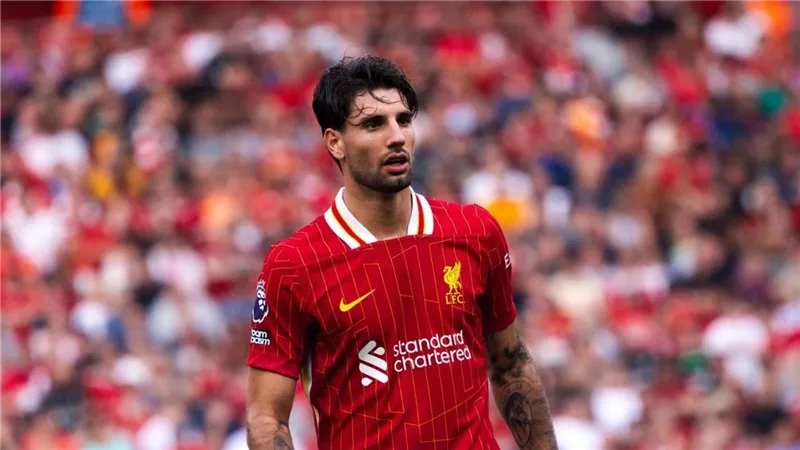 شاهد .. دومينيك سوبوسلاى يتقدم لليفربول أمام نيوكاسل