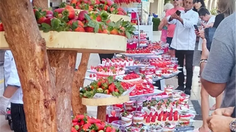 فنادق الغردقة تقيم مهرجان الفراولة بمشاركة السياح وسط أجواء ترفيه