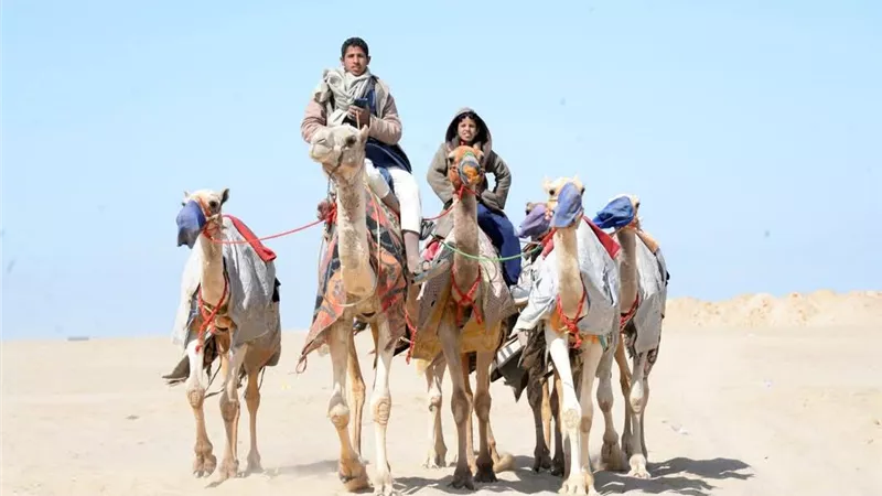 مهرجان الإسماعيلية للهجن تراث يجمع الماضي بالحاضر ..صور