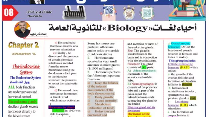 أقوى مراجعة 