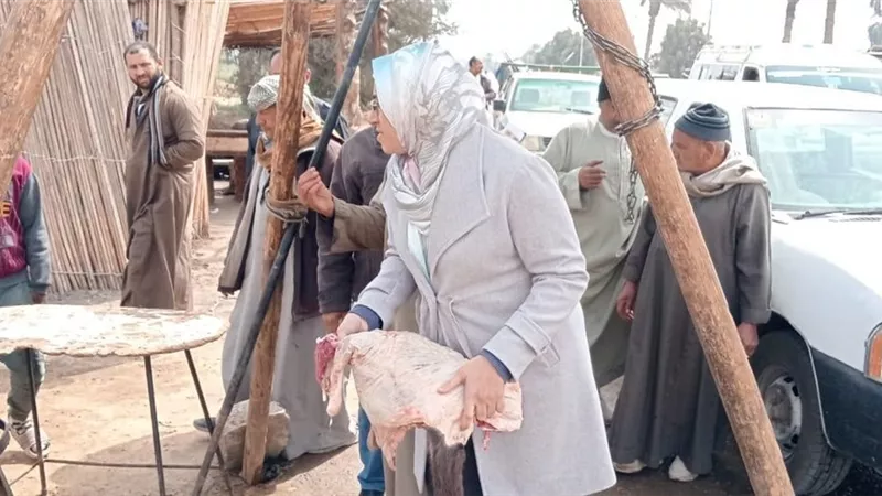 محافظ المنيا: تكثيف الحملات الرقابية على الأسواق والمطاعم