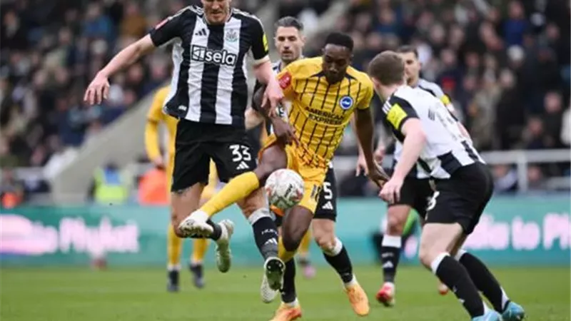 برايتون يحقق المفاجأة أمام نيوكاسل ويتأهل لربع نهائى كأس الاتحاد