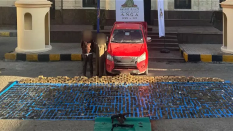 ضبط 292 كيلو حشيش بحوزة 3 عناصر إجرامية بالإسكندرية ومطروح