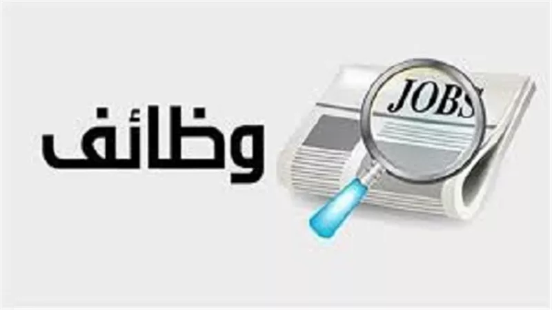 8 شروط للتعيين في الوظائف الحكومية بقانون الخدمة المدنية