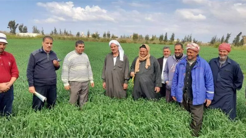 الزراعة: جهود إرشادية مكثفة لتعزيز التنمية الزراعية