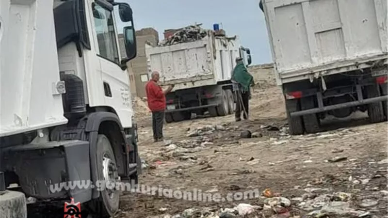 حملات لرفع المخلفات بعزبة البرج وردم البرك بكفر البطيخ