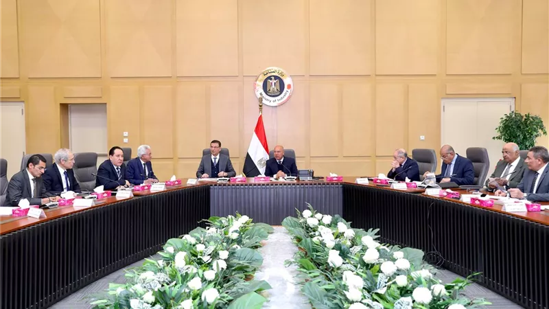 كامل الوزير يبحث مع وزير الزراعة تعزيز الاستفادة من خط الرورو