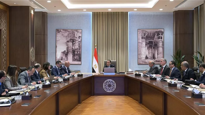مدبولى يستعرض مقترحا لإنتاج الهيدروجين والأمونيا الخضراء بخليج السويس