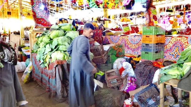 120 محضرا ومخالفة بسوق خضار شرق السكة الحديد بالأقصر