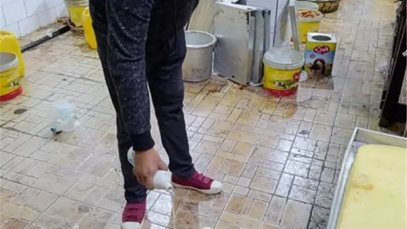 ٥ أطنان أغذية غير صالحة للإستهلاك الآدمي بأسواق دمياط