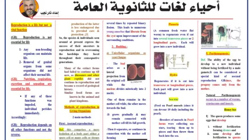 أقوى مراجعة في الأحياء لغات للثانوية العامة 2025