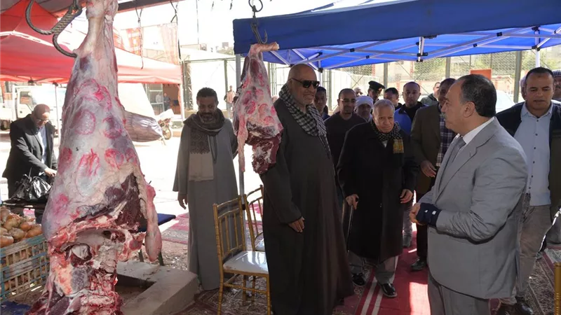 محافظ أسيوط يفتتح معرض 