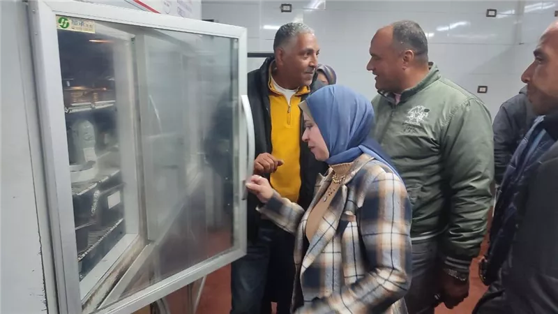حملات تفتيشية على المطاعم والكافيهات ومحلات الاغذية بالاسكندرية