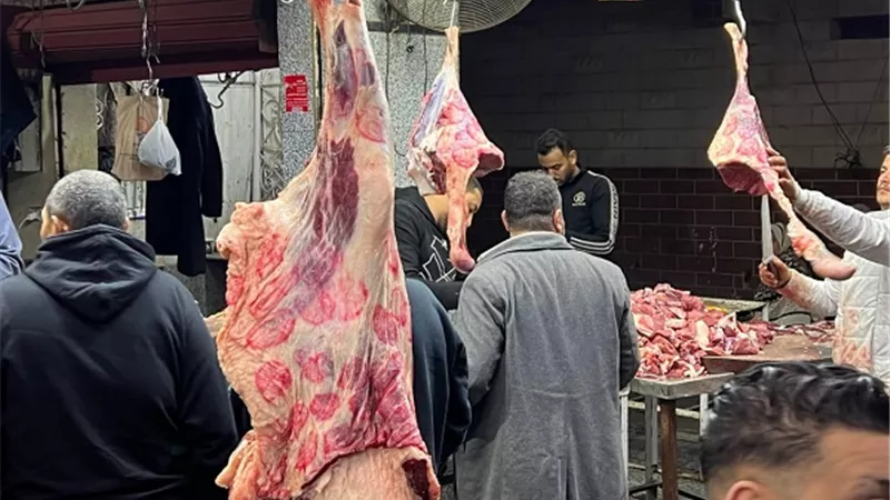 حماة الوطن بالإسماعيلية يوفر اللحوم للمواطنين الكيلو بـ200 جنية