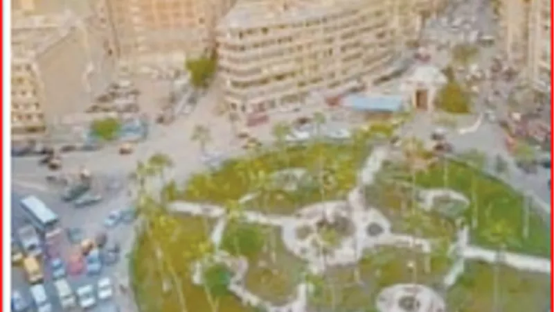 حكاية شارع.. محمود الفلكي بالإسكندرية
