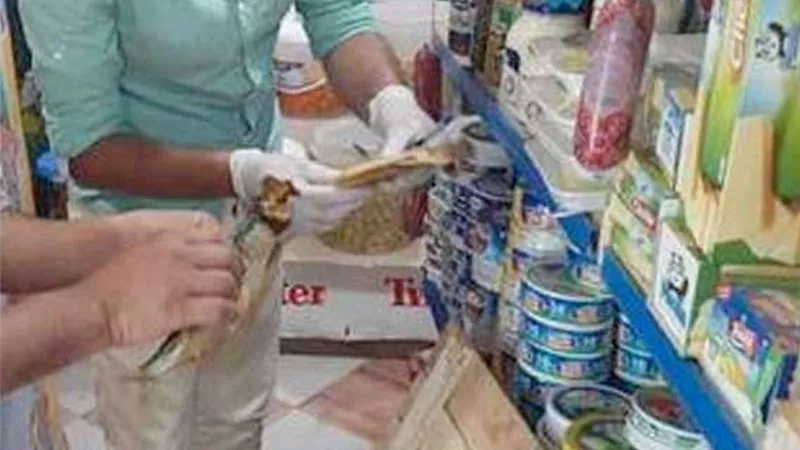 عقوبات الغش والتدليس فى البضائع والسلع التجارية.. تعرف عليها